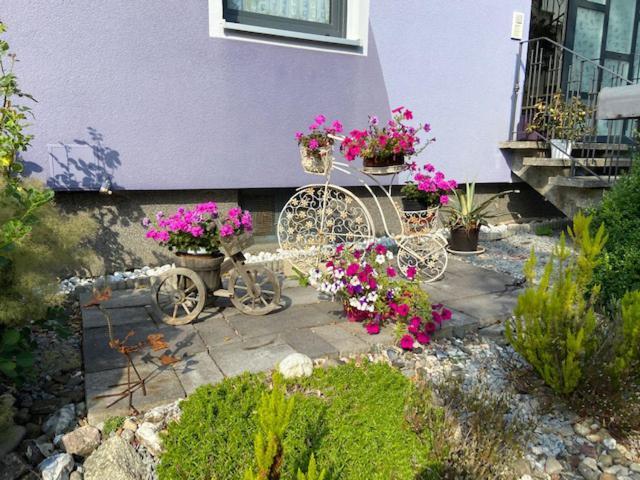 Apartament Haus Lila Welle Nordhalben Zewnętrze zdjęcie